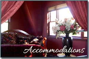 Accommodations at Insel Haus in MI